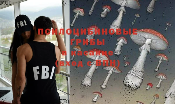 индика Алзамай