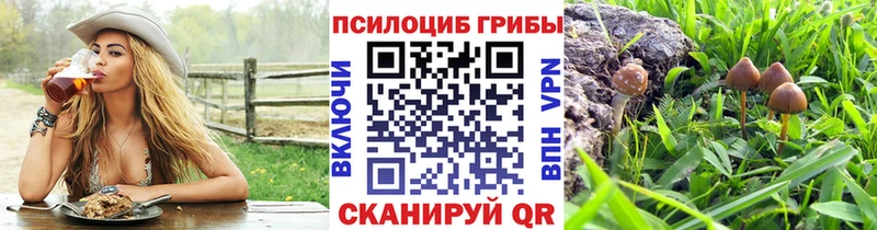 Галлюциногенные грибы мухоморы  Юрга 