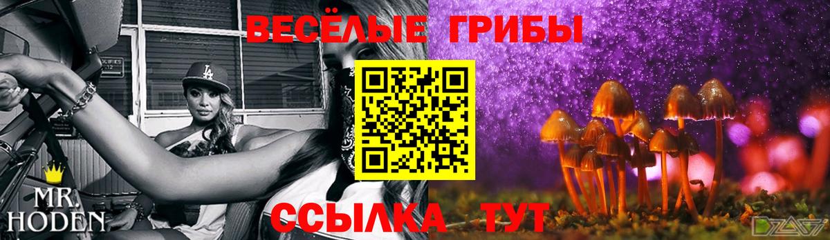 Юрга  Псилоцибиновые грибы Psilocybine cubensis  Вход с VPN 