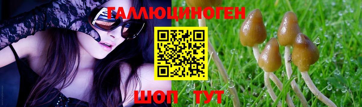 Псилоцибиновые грибы Psilocybe Юрга